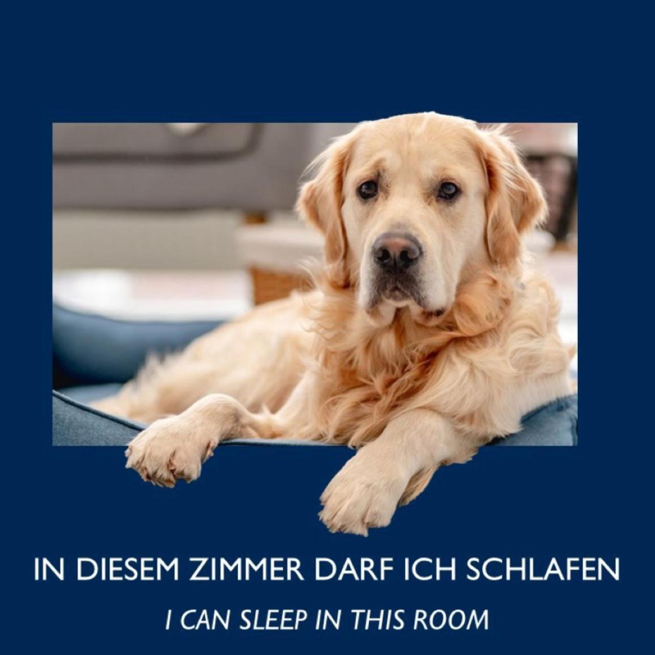 City Hotel Dresden Радебойль Номер фото